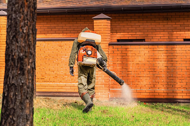 Trusted Bed Bug Control service in Brownsville, OR - Nex Pest Control